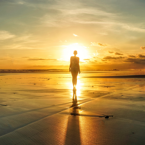 Holistic Wellness Workshop Series